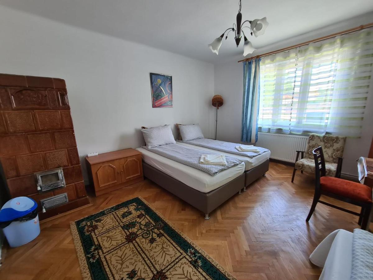 Aurora vendégház Sfântu-Gheorghe Kültér fotó