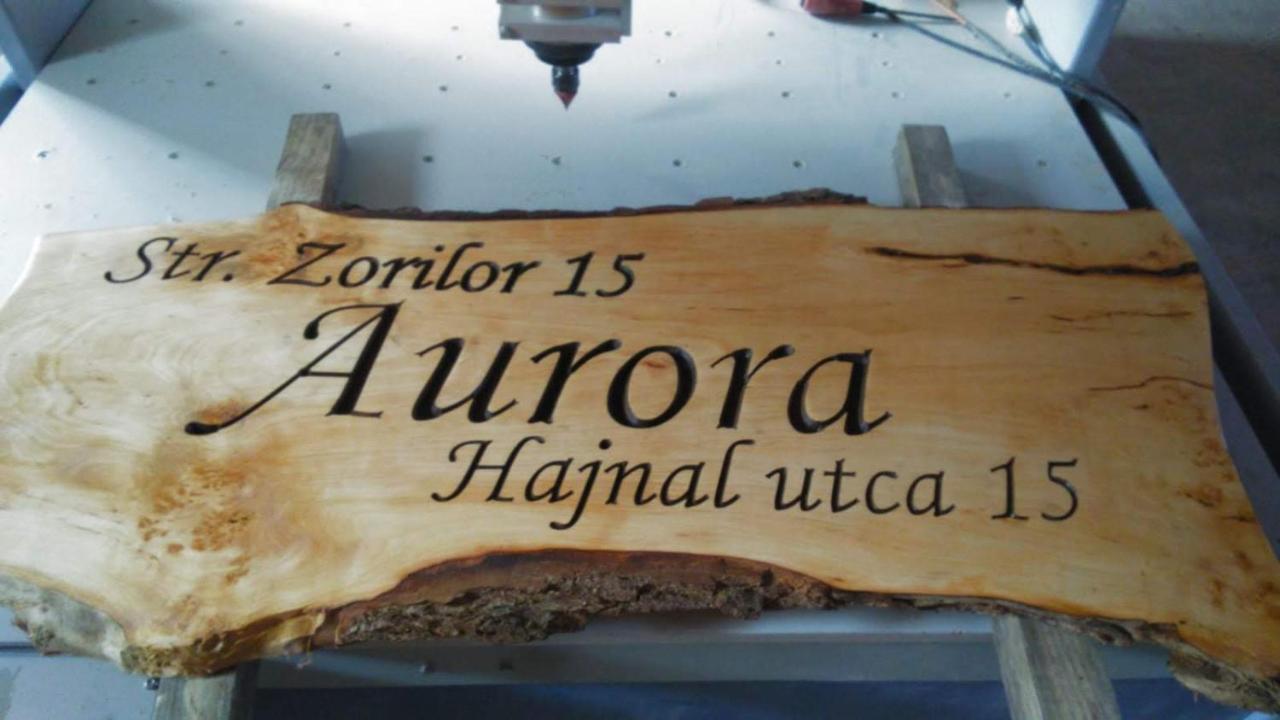 Aurora vendégház Sfântu-Gheorghe Kültér fotó