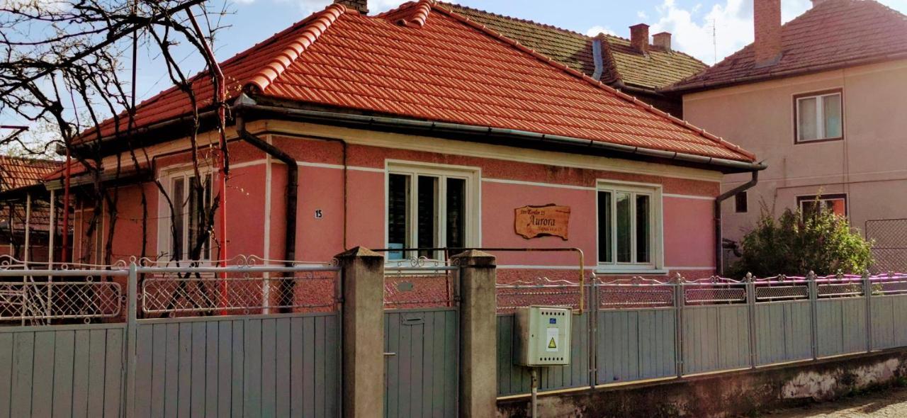 Aurora vendégház Sfântu-Gheorghe Kültér fotó